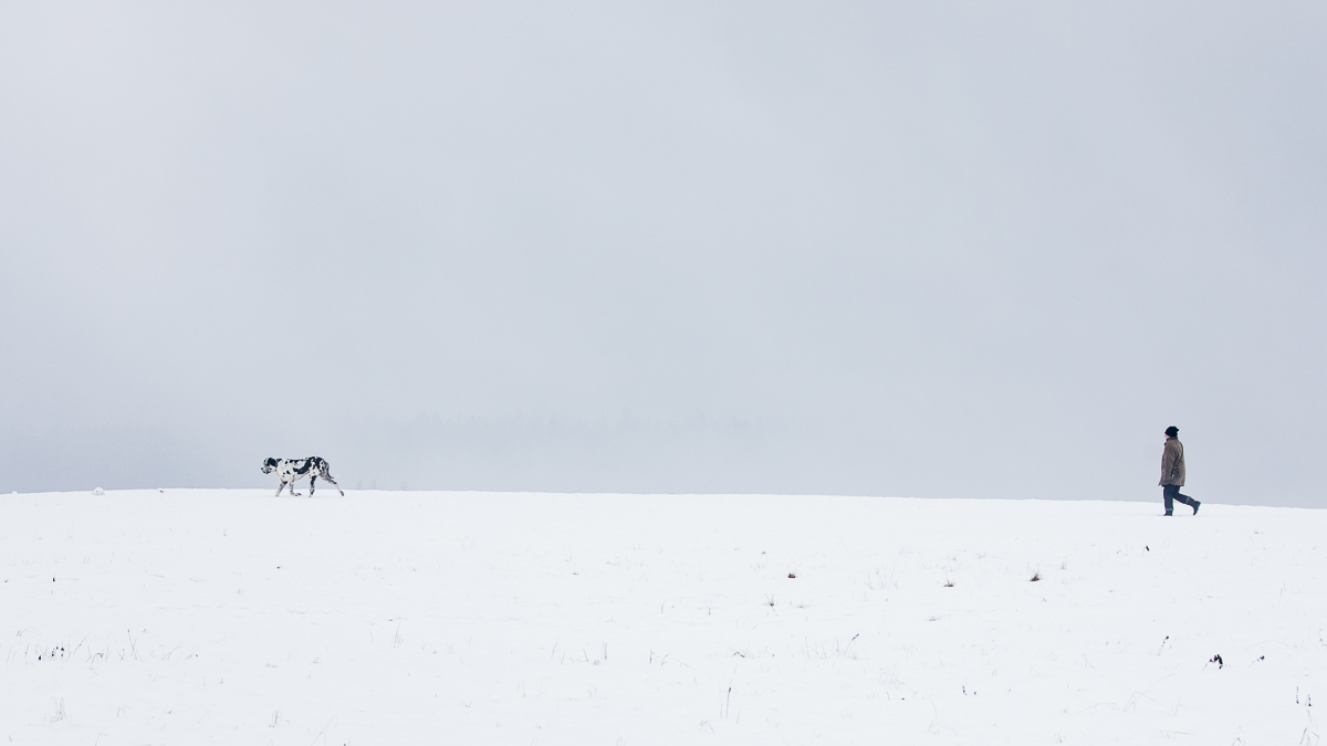 Příloha komentáře