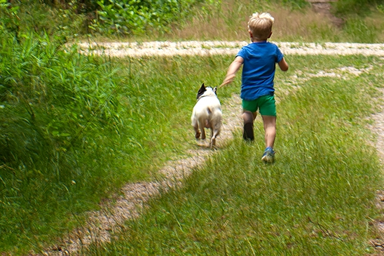 Příloha komentáře