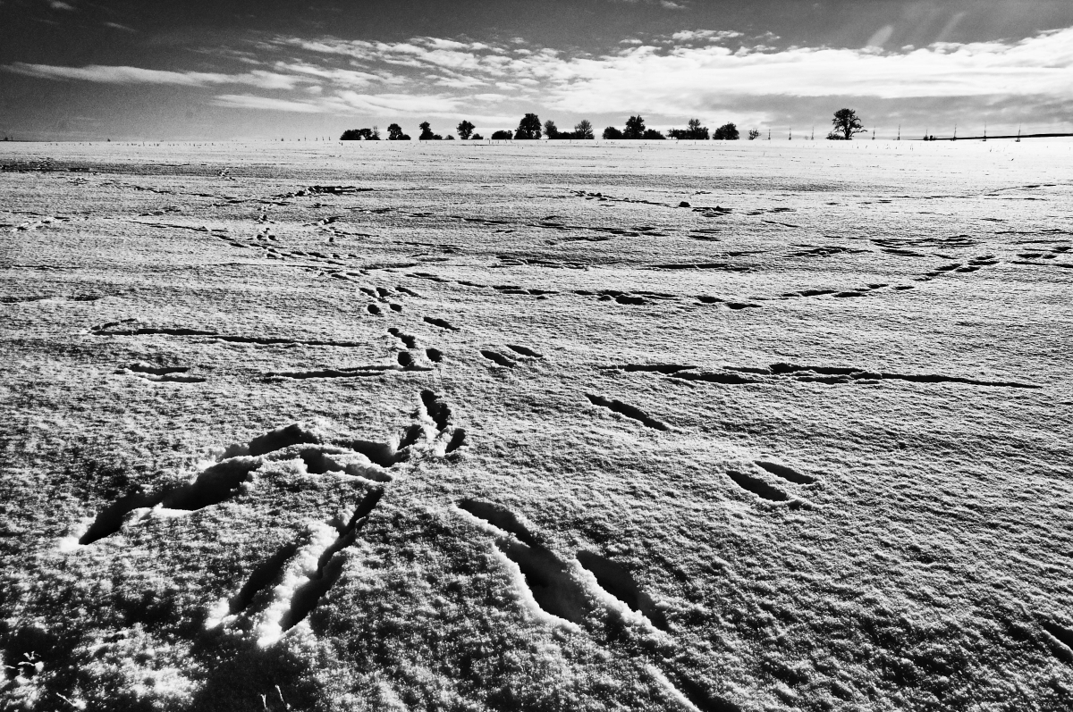 Příloha komentáře