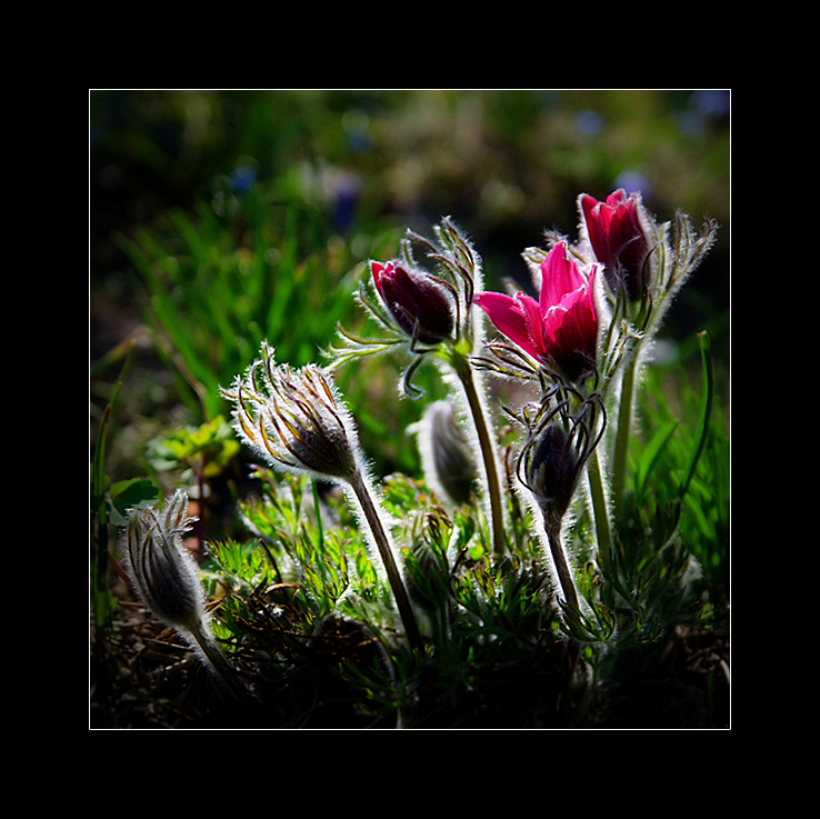 Příloha komentáře