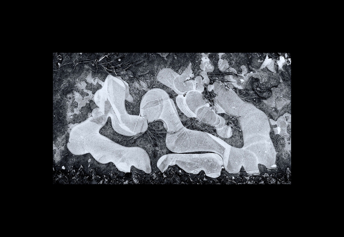 Příloha komentáře