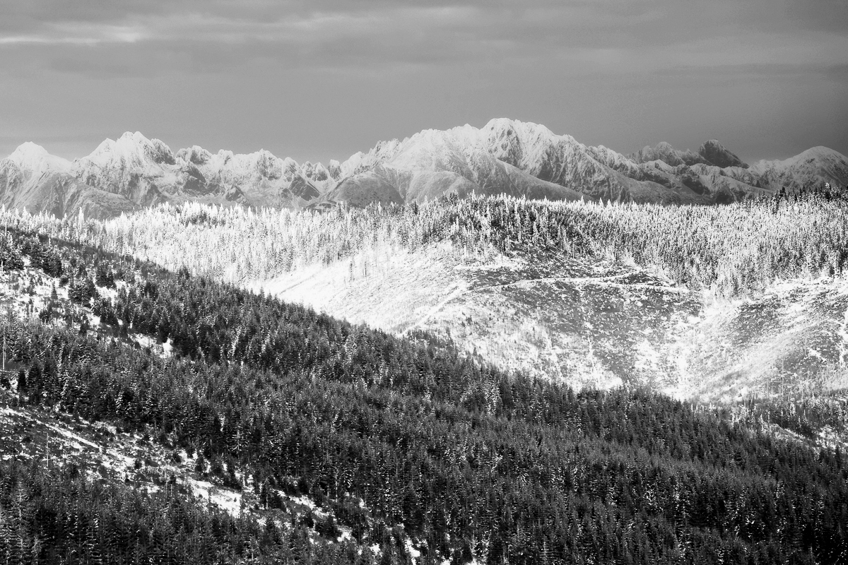 Příloha komentáře