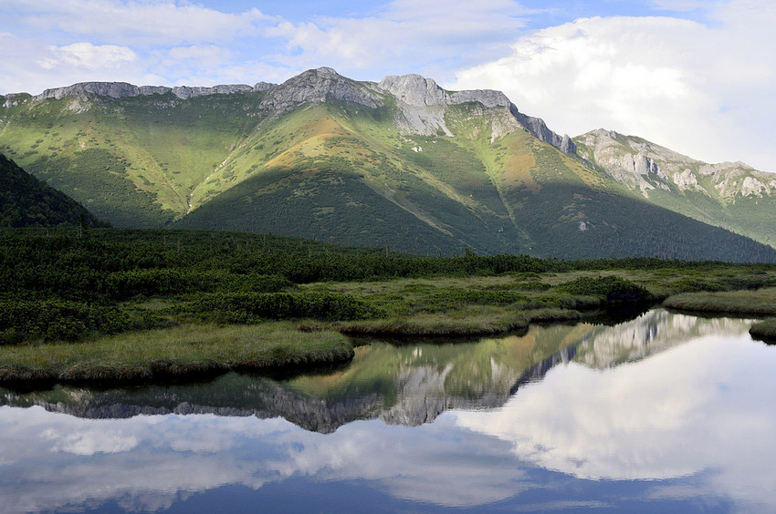 Příloha komentáře