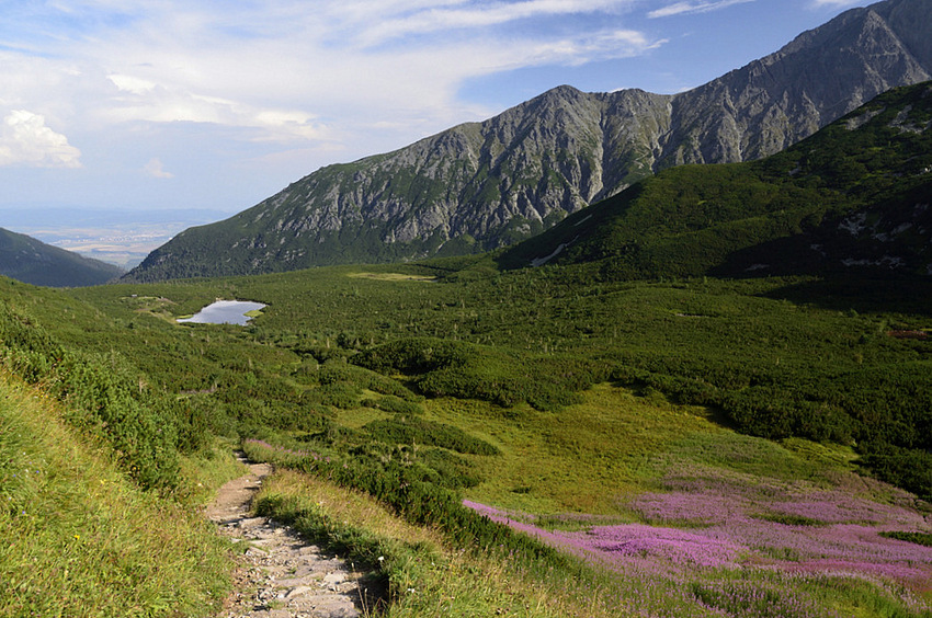 Příloha komentáře