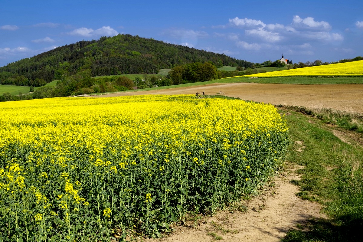 Příloha komentáře