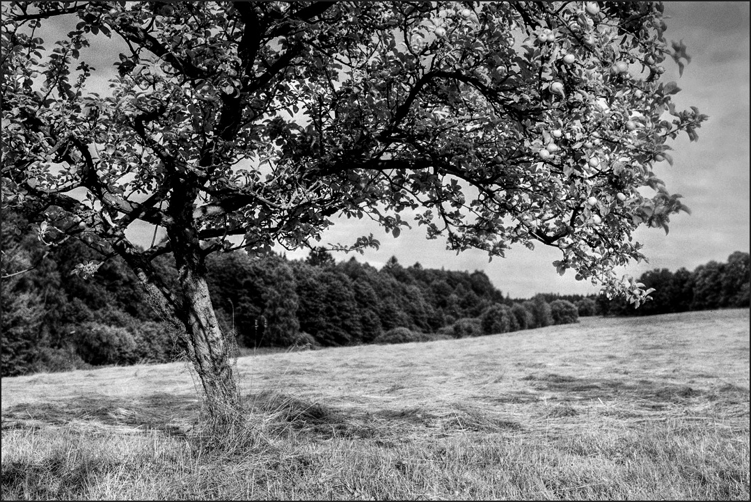 Příloha komentáře