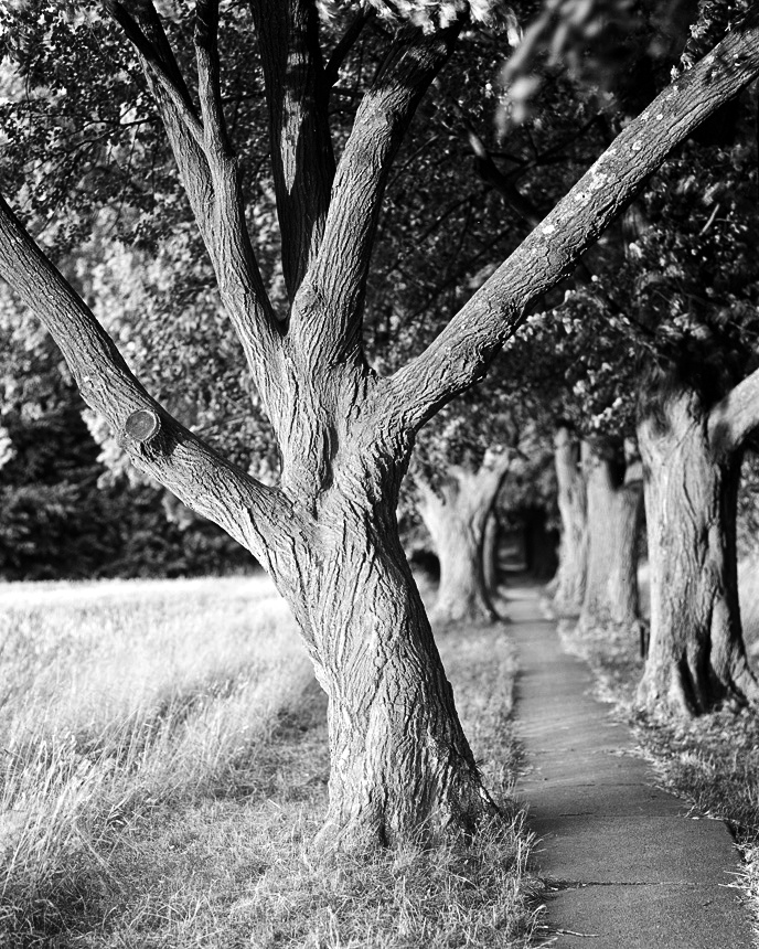 Příloha komentáře