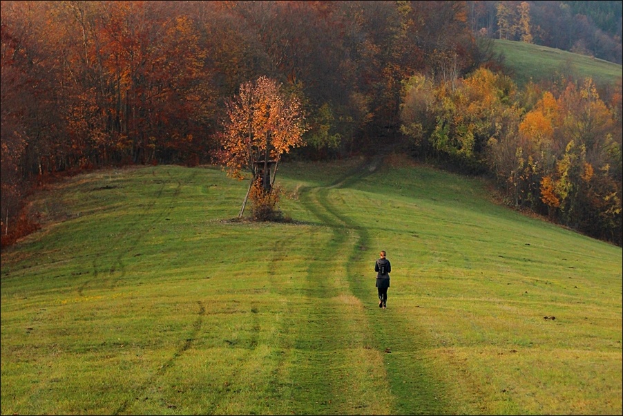 Příloha komentáře