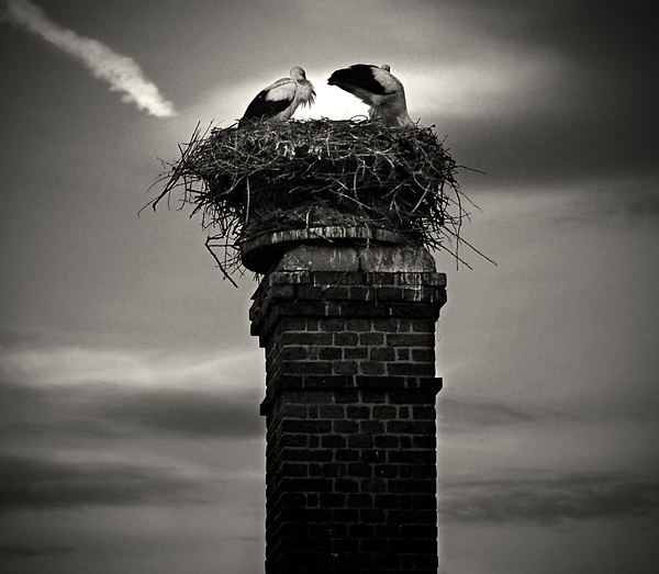 Příloha komentáře