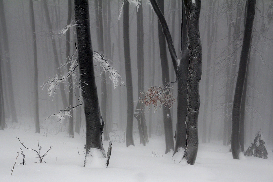 Příloha komentáře