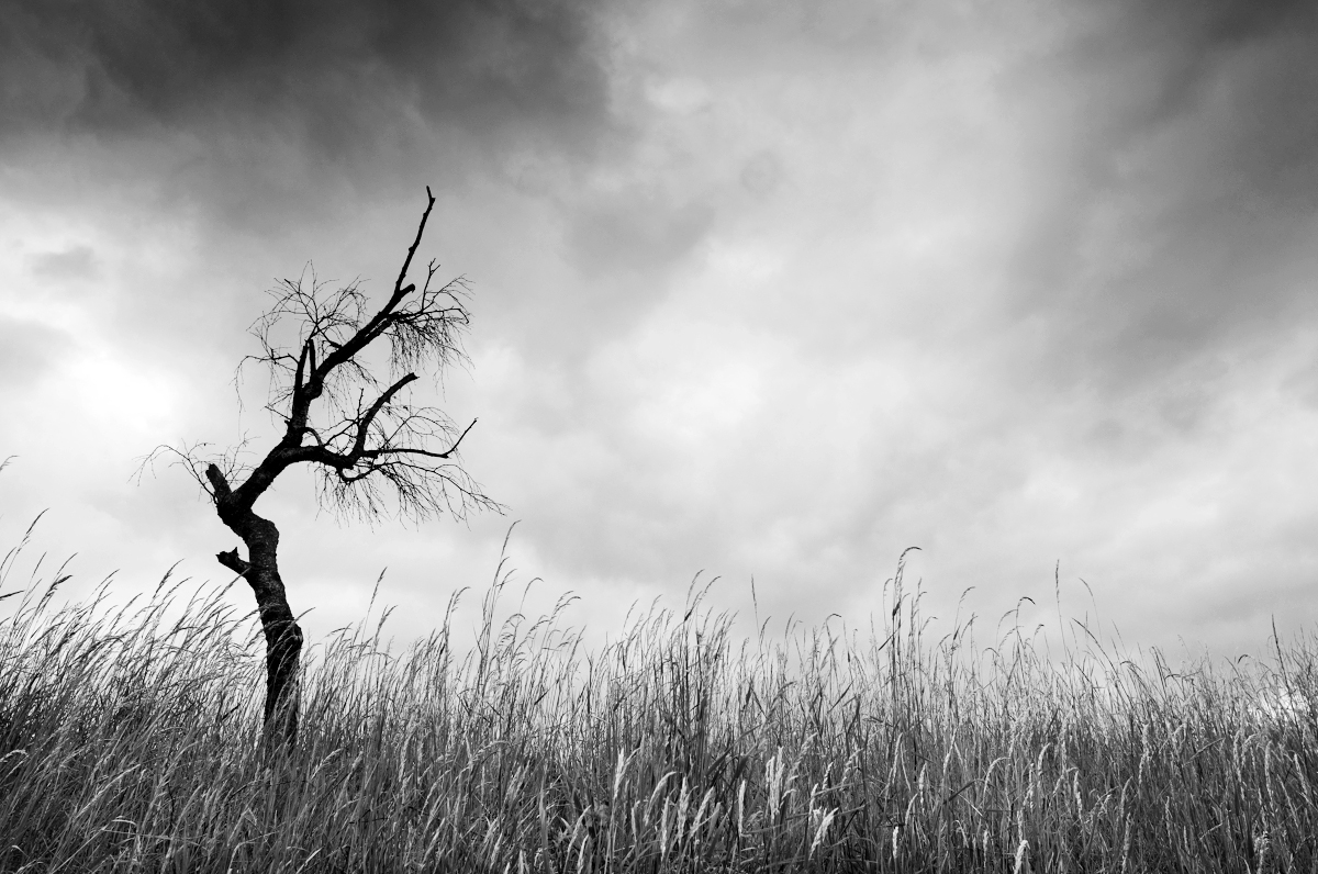 Příloha komentáře