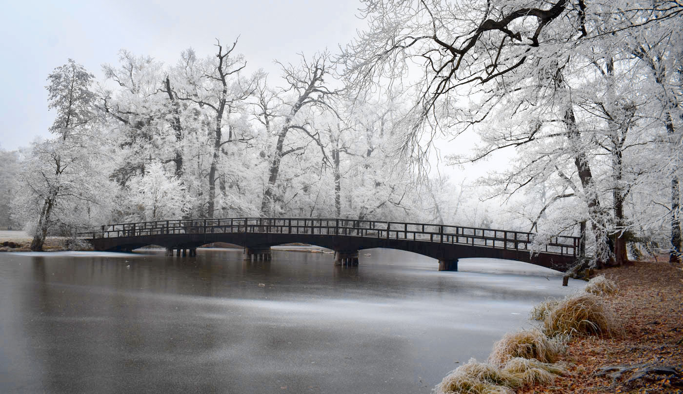 Příloha komentáře