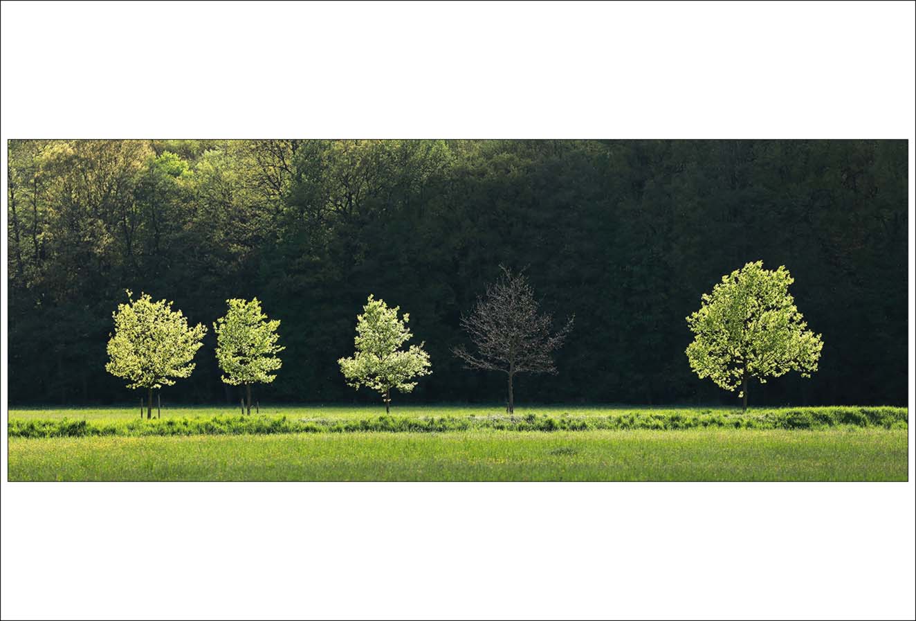 Příloha komentáře