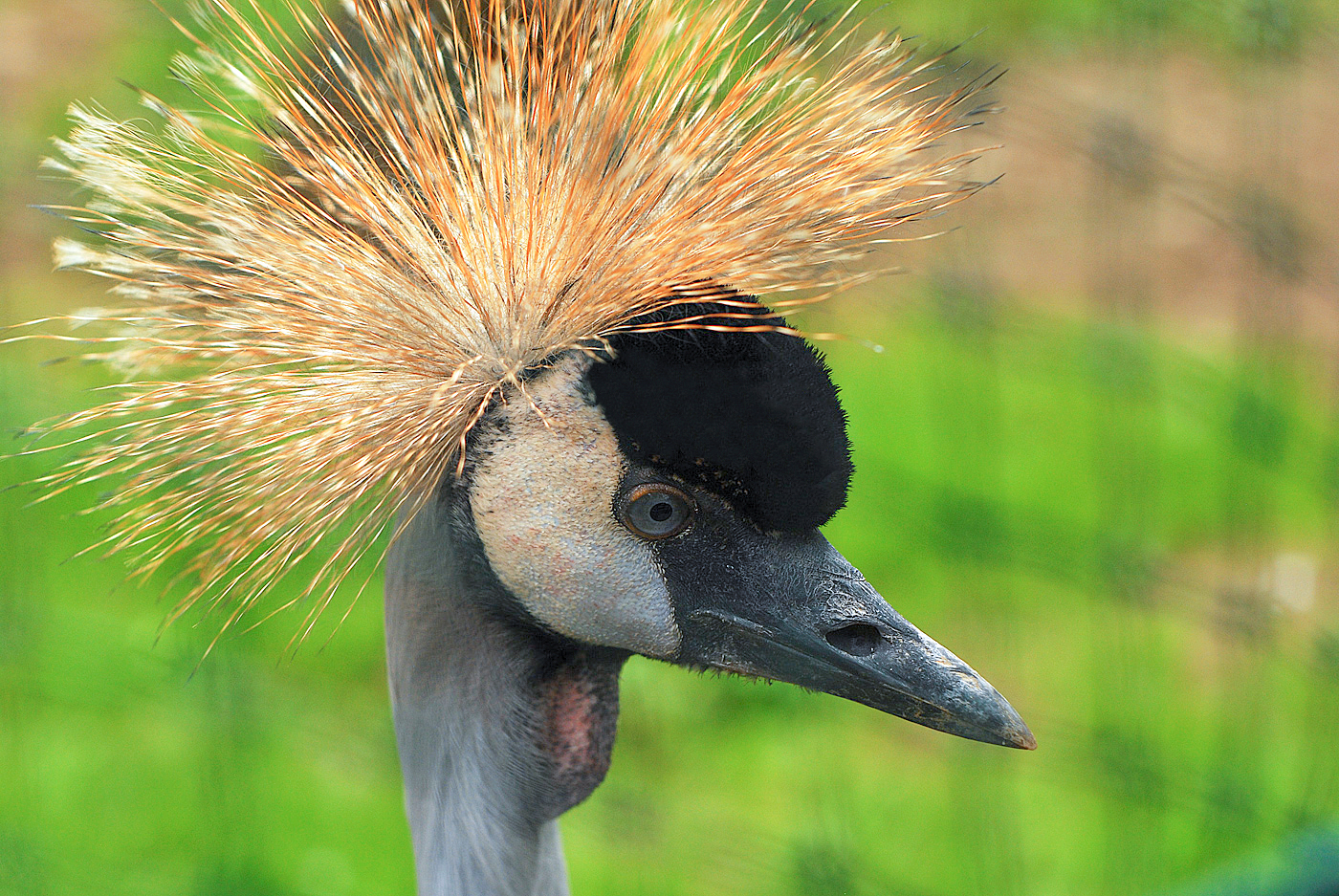 Příloha komentáře