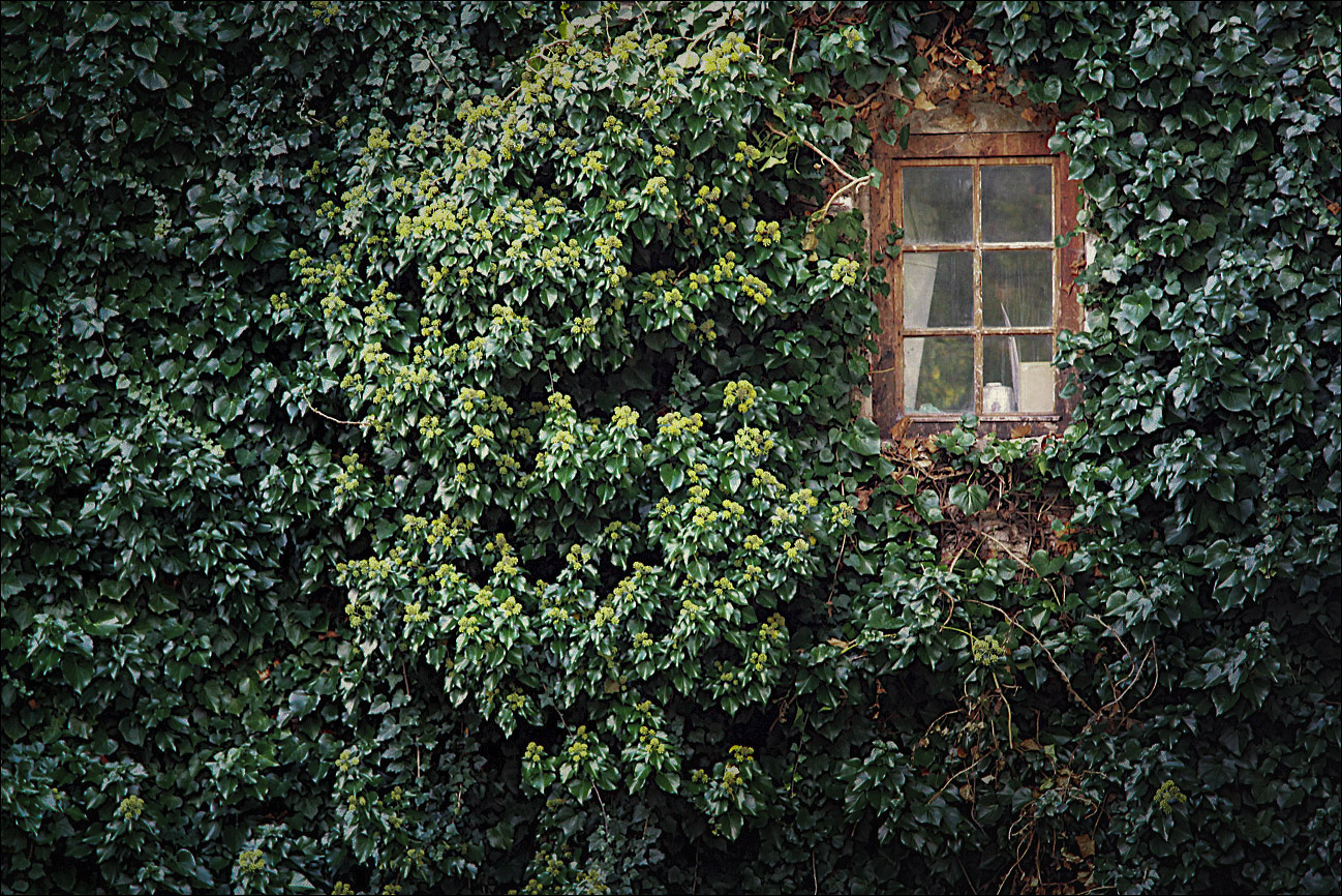 Příloha komentáře