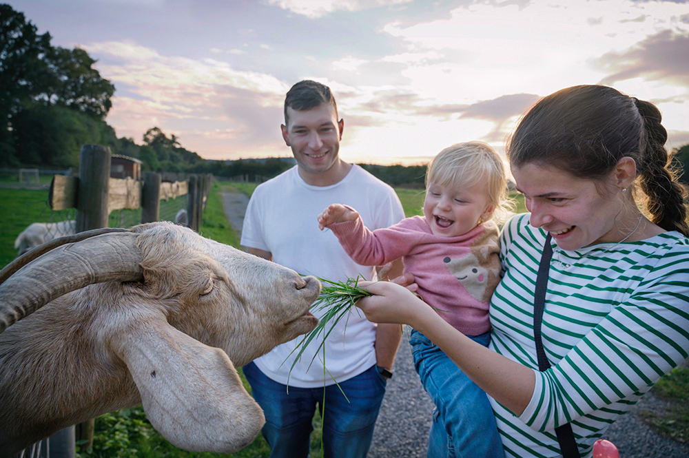 Příloha komentáře
