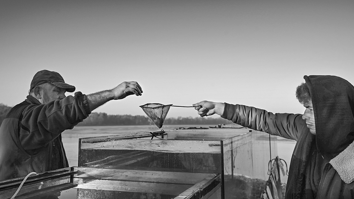 Příloha komentáře