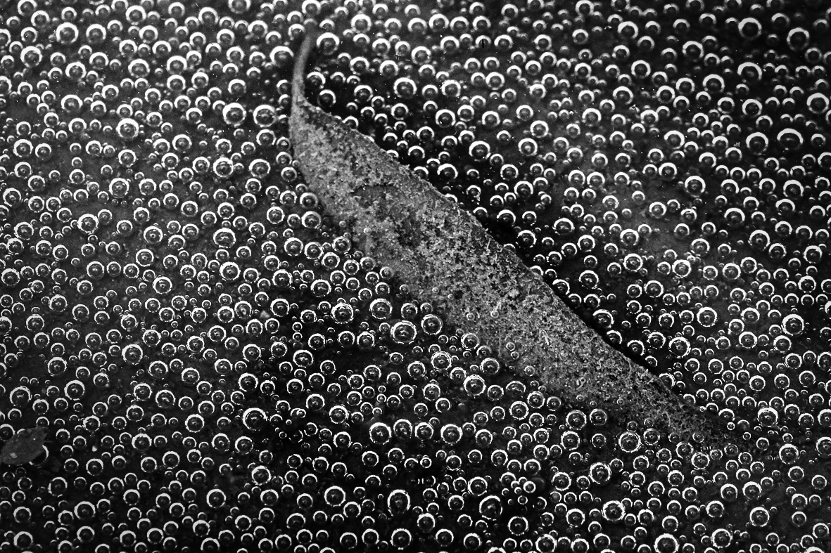 Příloha komentáře