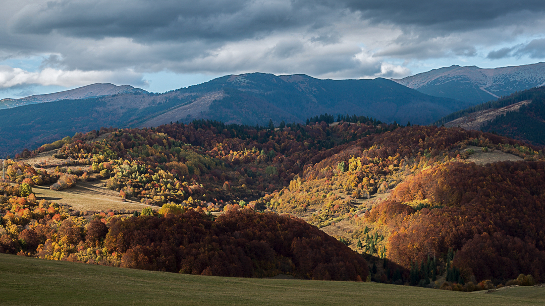 Příloha komentáře