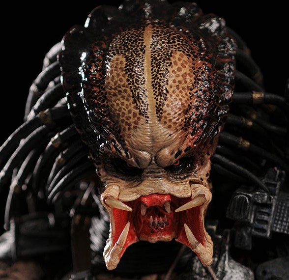 Příloha komentáře