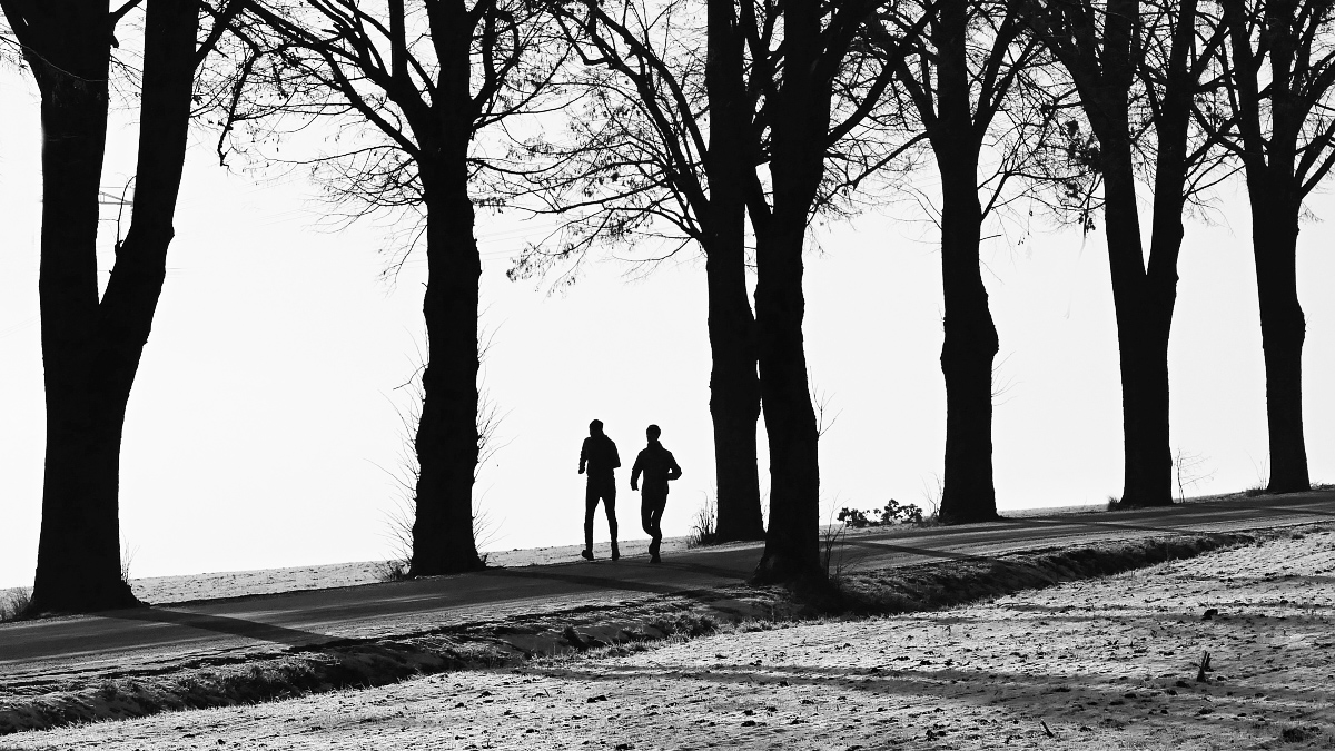 Příloha komentáře