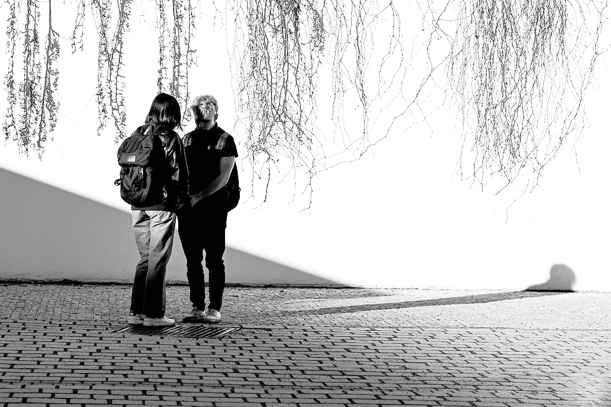 Příloha komentáře