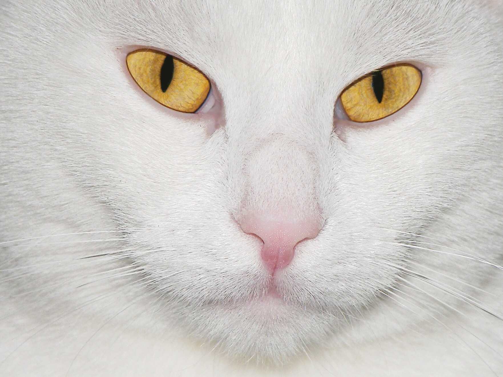 Příloha komentáře