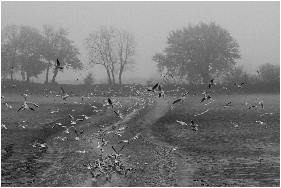 Příloha komentáře