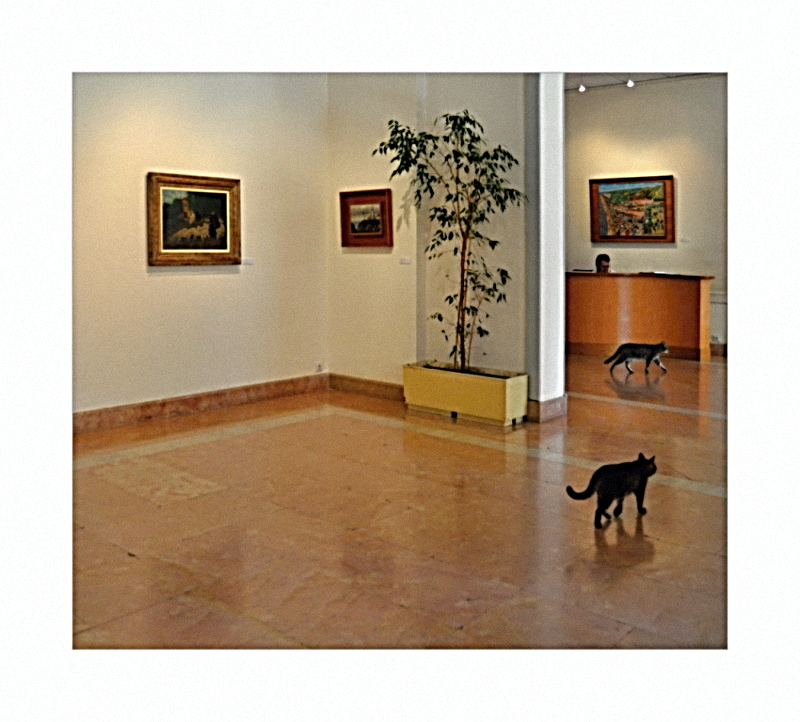 Příloha komentáře