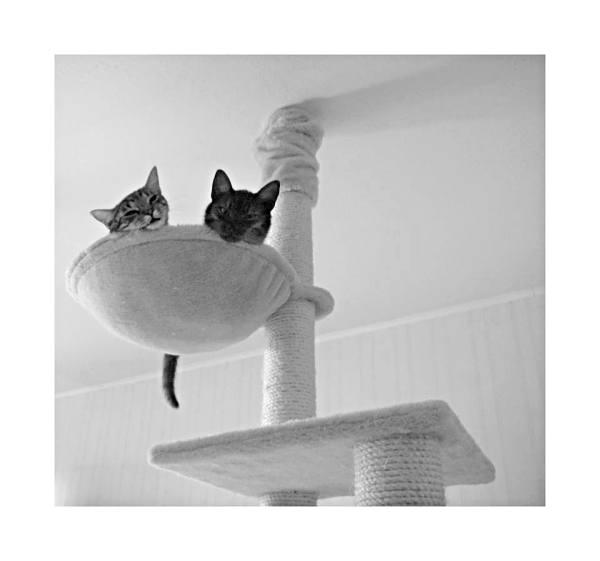 Příloha komentáře