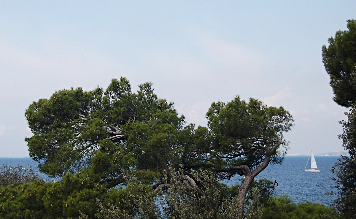 Příloha komentáře