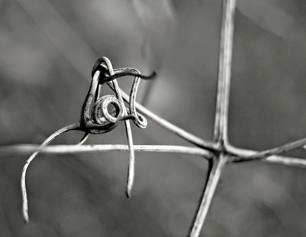 Příloha komentáře