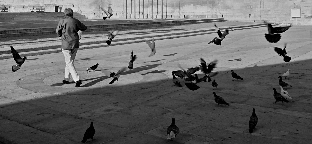 Příloha komentáře