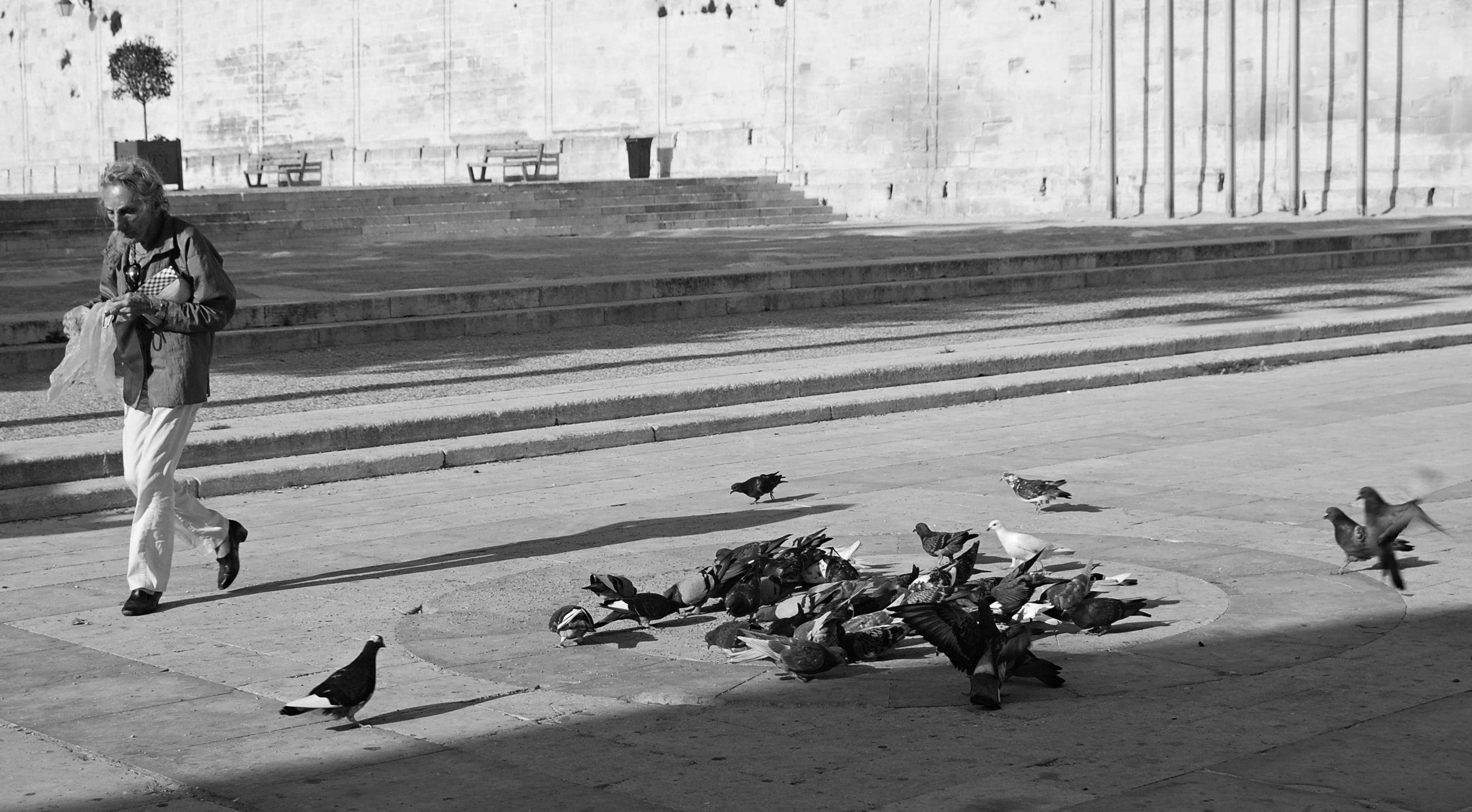 Příloha komentáře