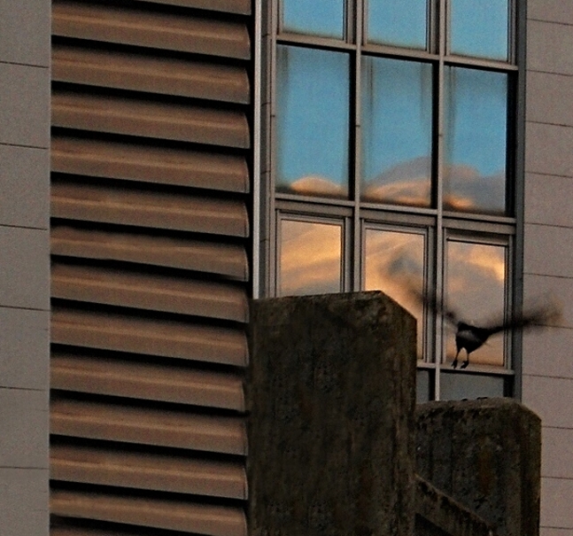 Příloha komentáře