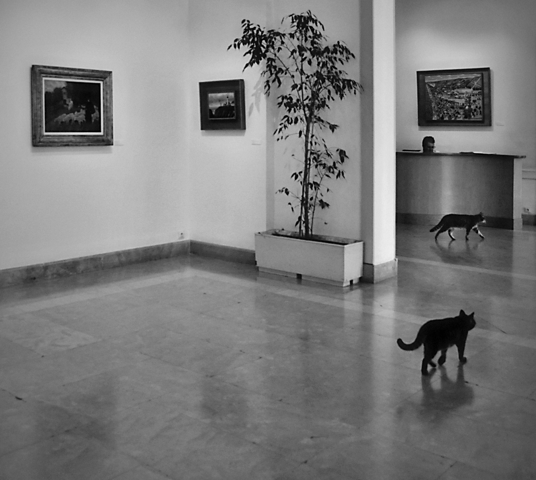 Příloha komentáře