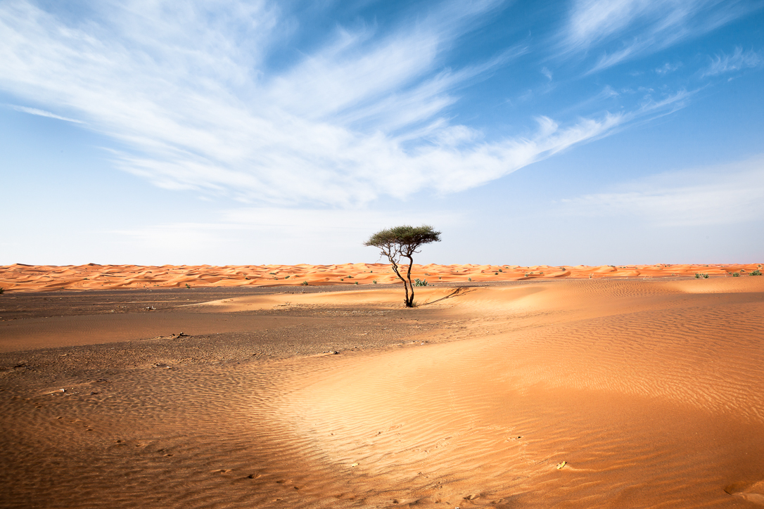 Příloha komentáře