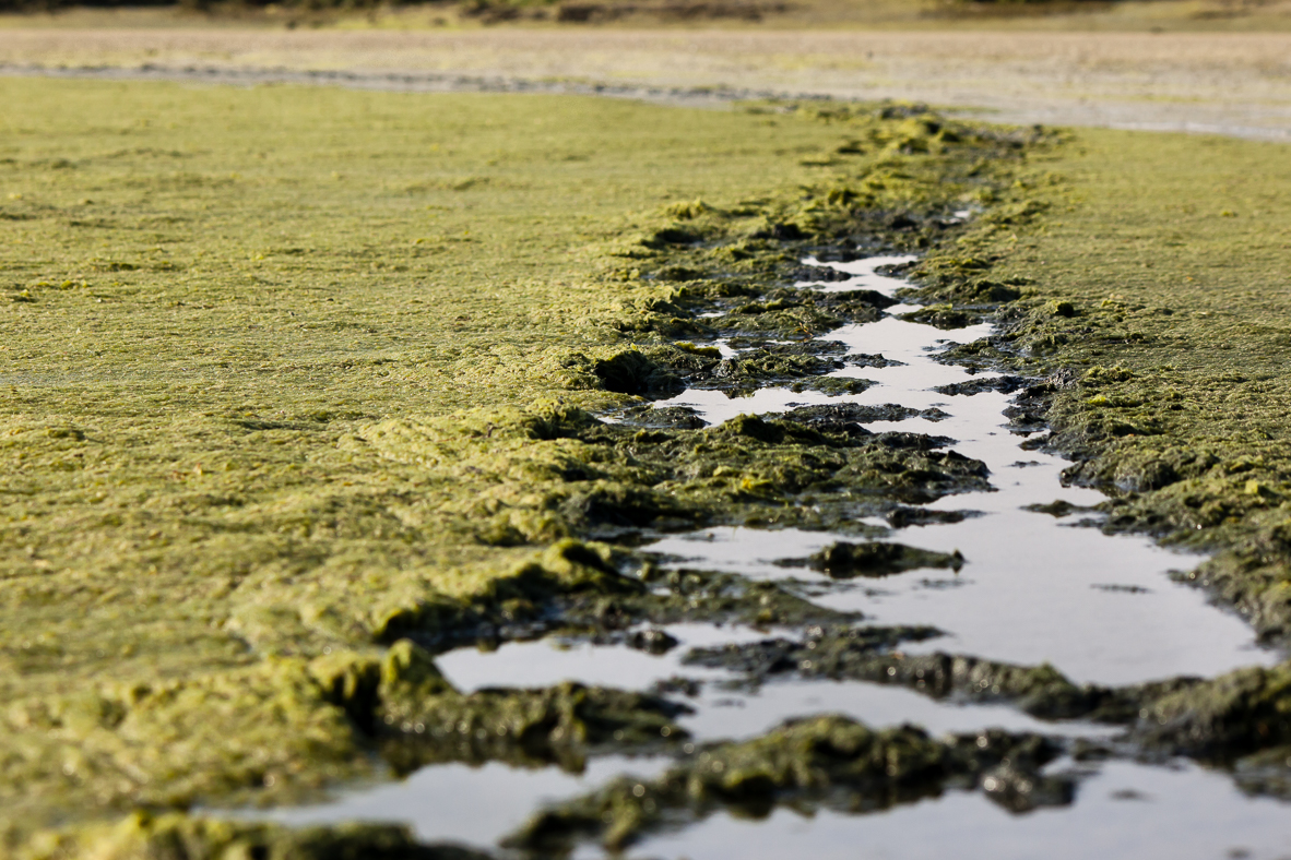 Příloha komentáře