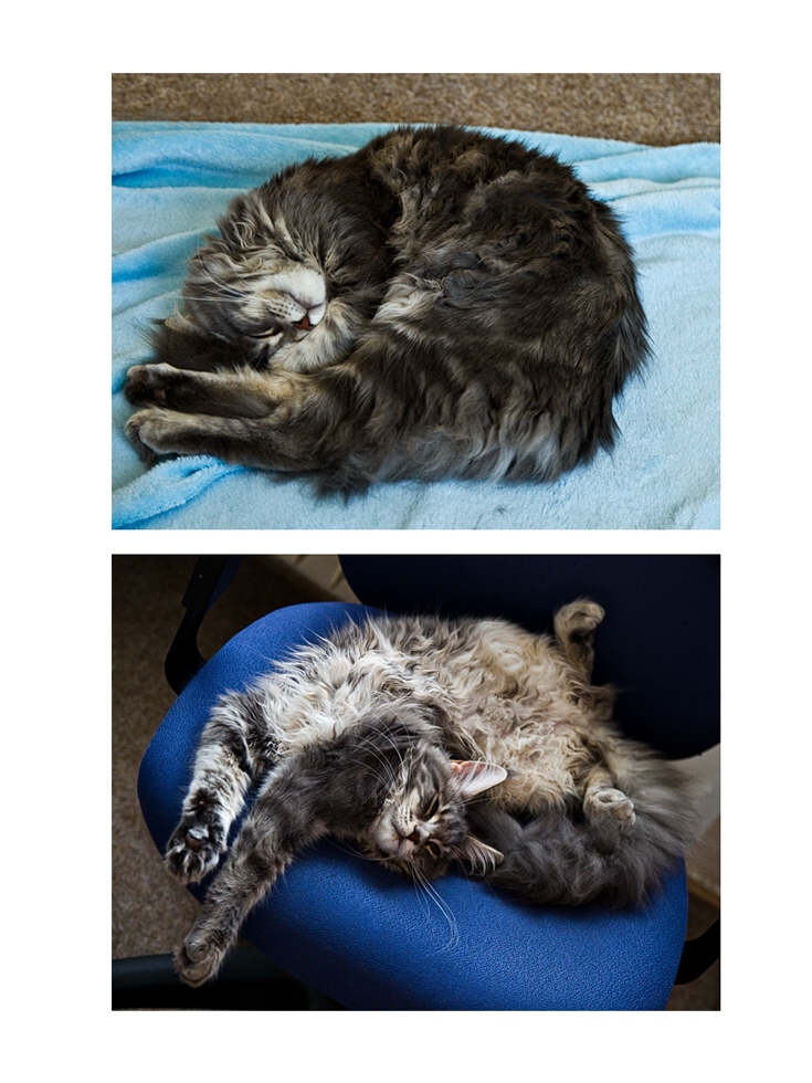 Příloha komentáře