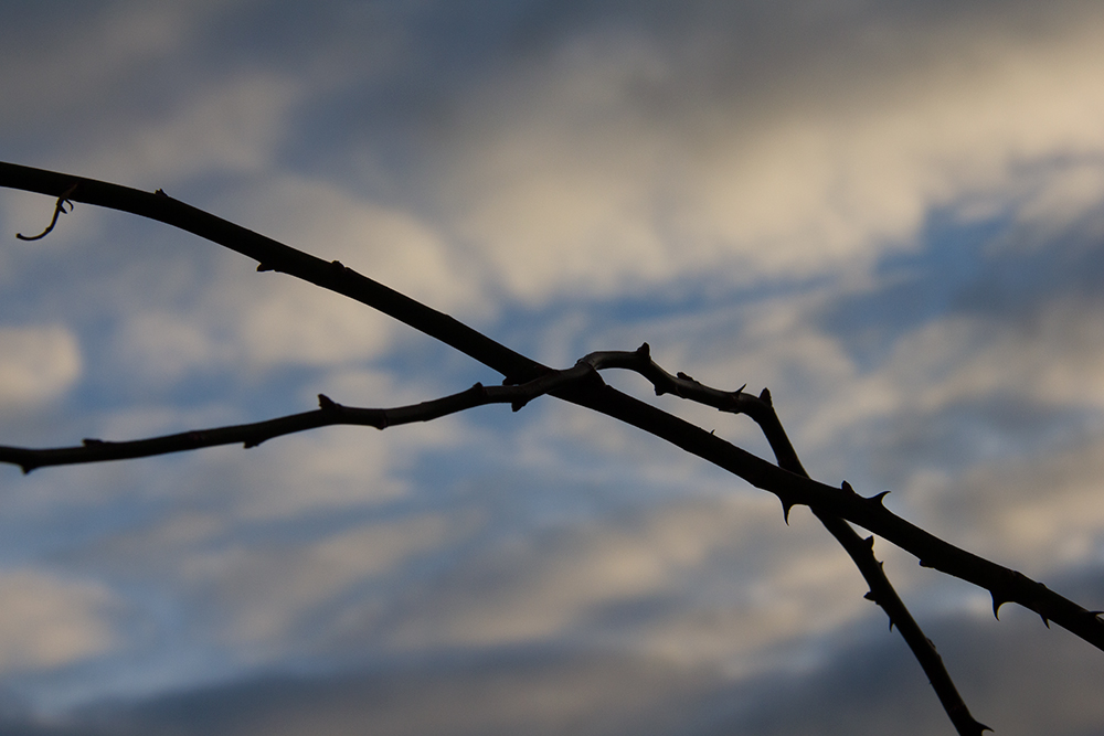 Příloha komentáře