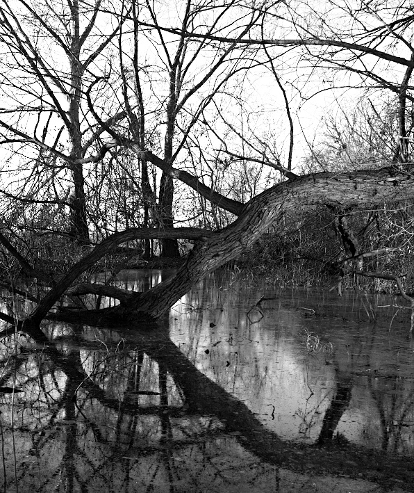 Příloha komentáře