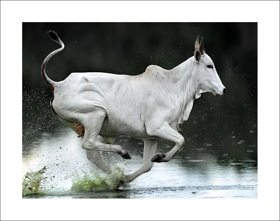 Příloha komentáře