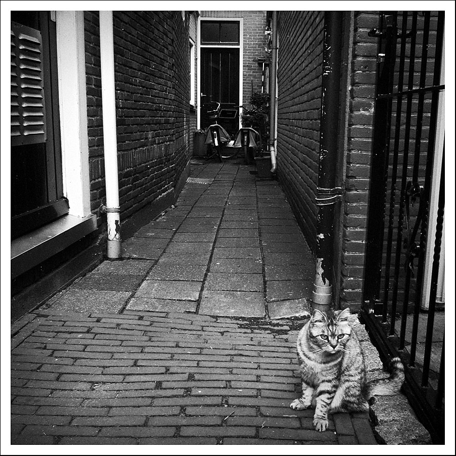 Příloha komentáře