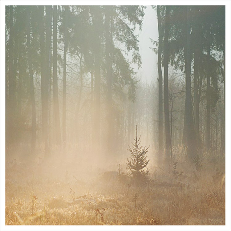 Příloha komentáře