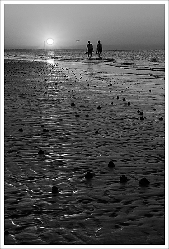 Příloha komentáře