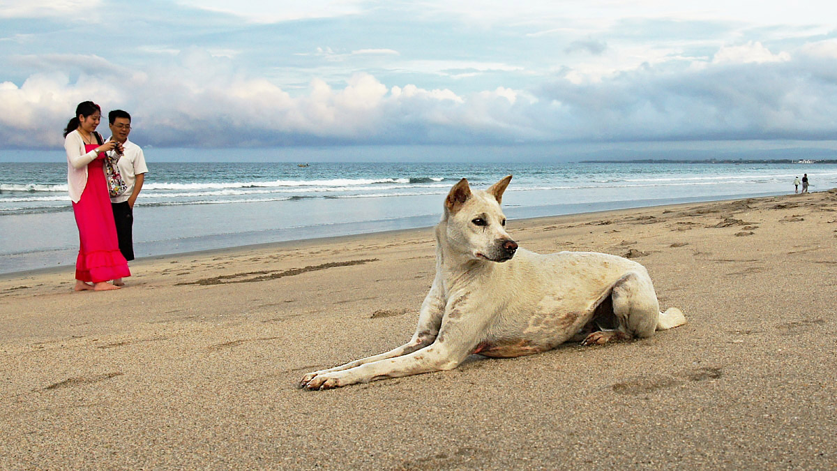 Příloha komentáře