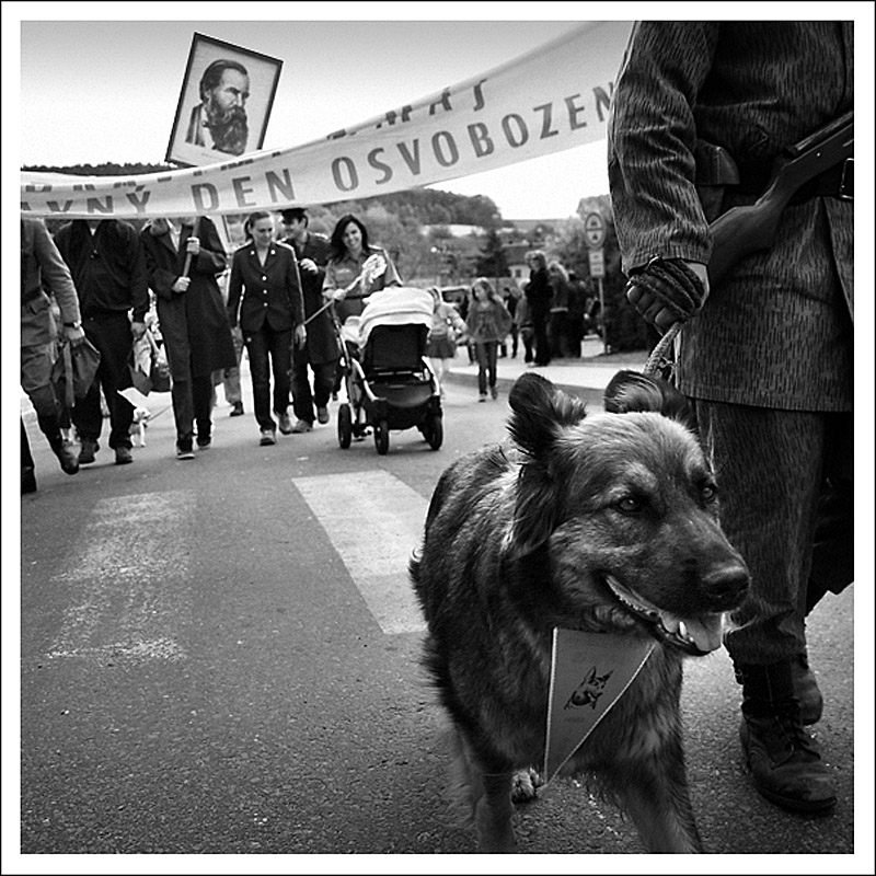 Příloha komentáře