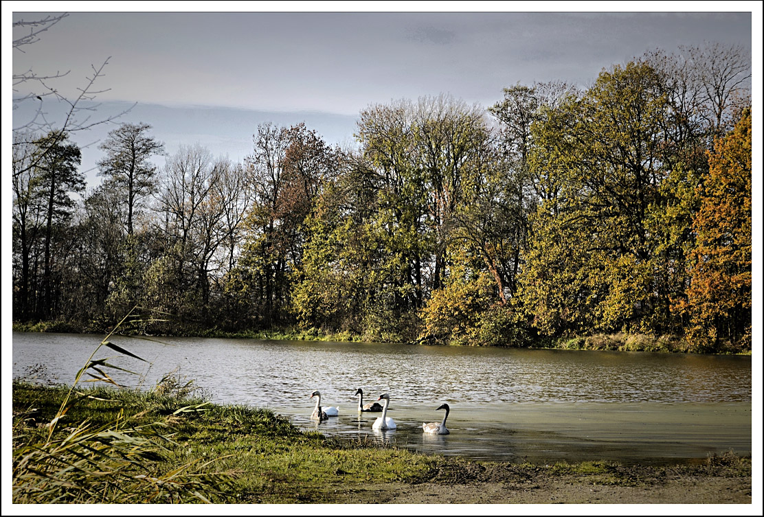 Příloha komentáře