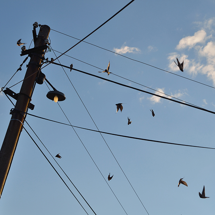 Příloha komentáře