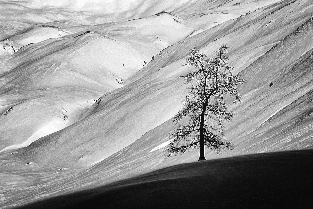 Příloha komentáře